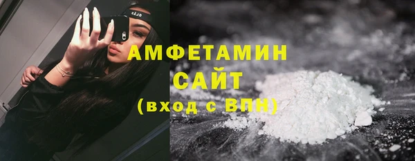 шишки Белоозёрский