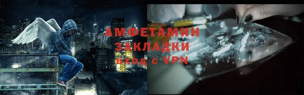 шишки Белоозёрский