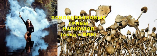 мескалин Белокуриха