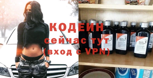 шишки Белоозёрский