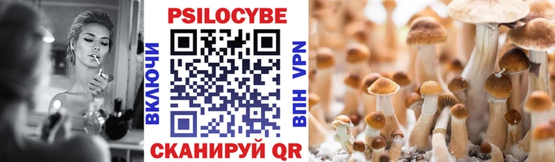 Галлюциногенные грибы мицелий  MEGA ССЫЛКА  Кувандык 