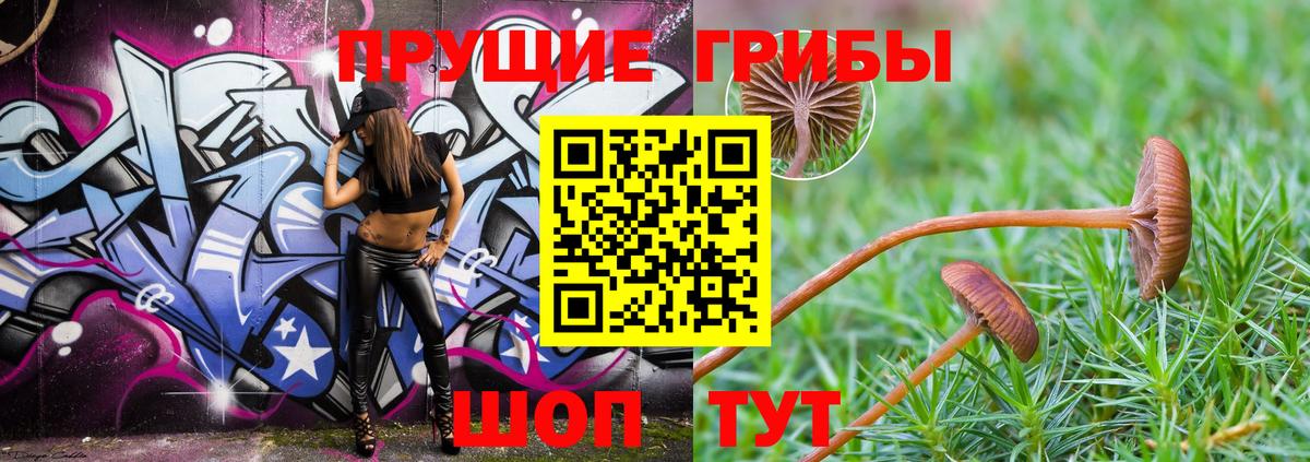 Галлюциногенные грибы Magic Shrooms Кувандык