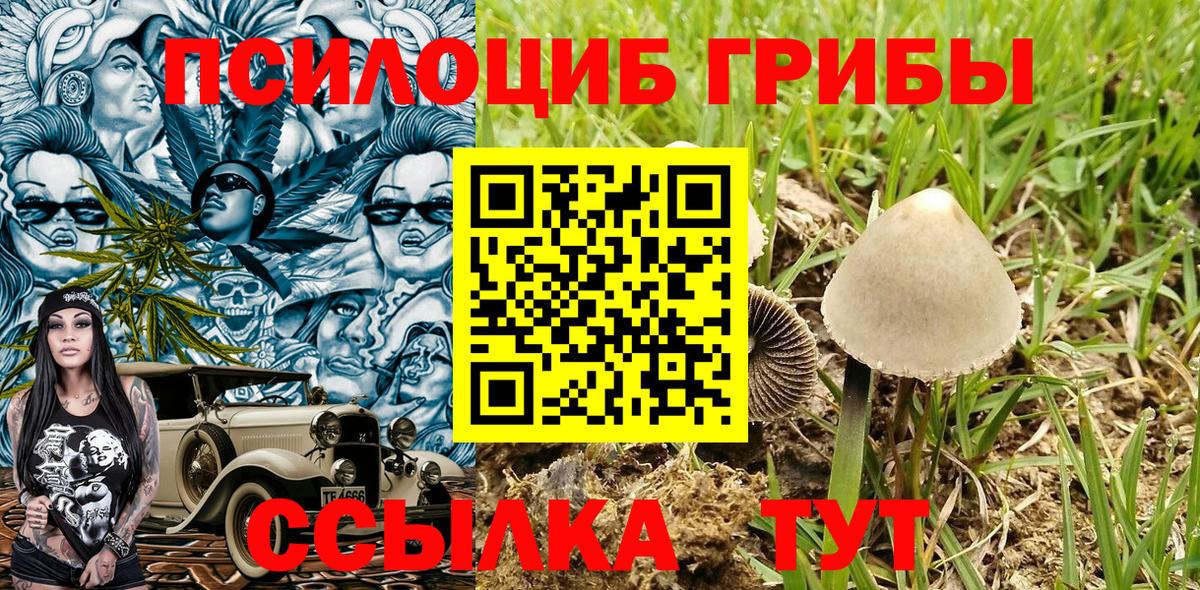 Кувандык  Псилоцибиновые грибы Magic Shrooms  Вход с VPN 