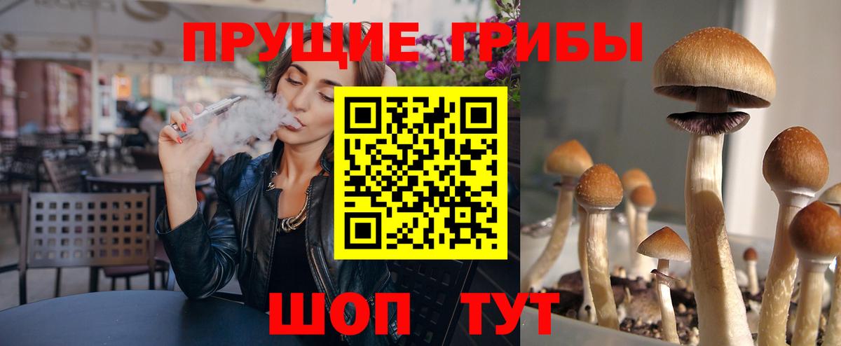 МЕФ Кувандык